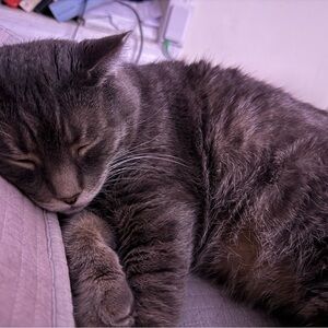 Meet your Posher, Guadalupe